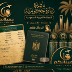 تأشيرة زيارة حكومية