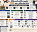تصديقات